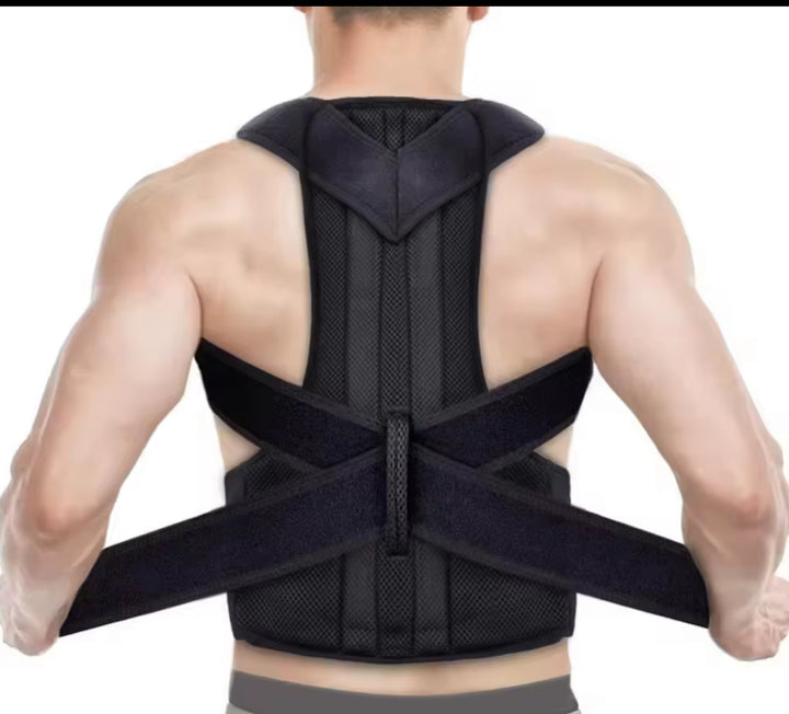 Back Support Brace