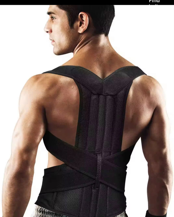 Back Support Brace